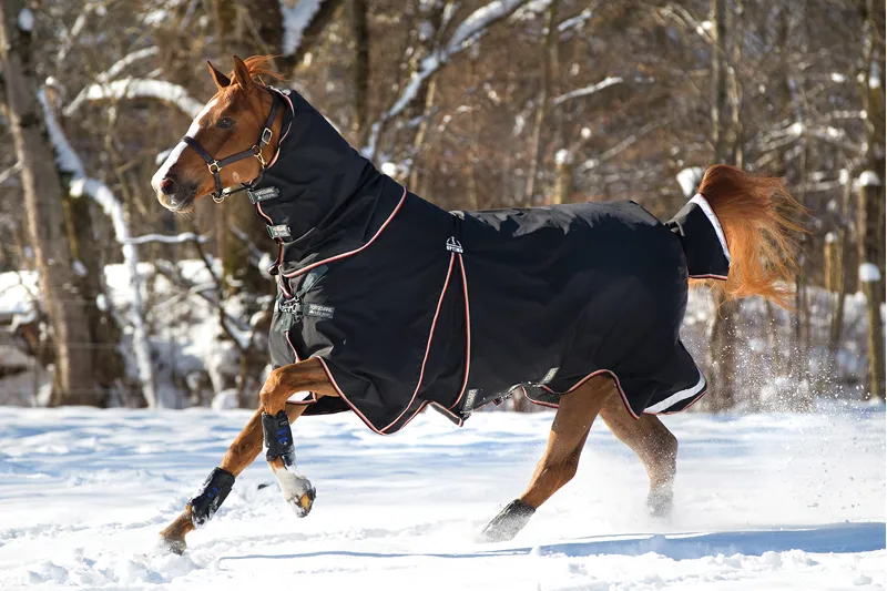 Rambo Optimo Turnout Rug and 400g Liner Black/Orange/Black-1